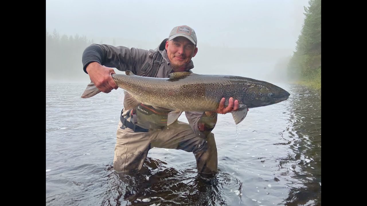 Byske Salmon flyfishing 2021_2