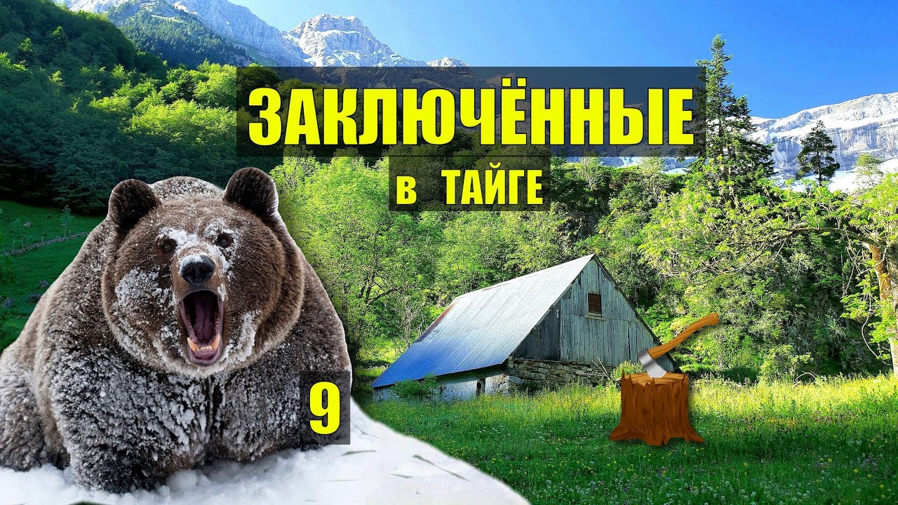 СТАРОВЕРЫ ВЕДЬМИНО БОЛОТО в ТАЙГЕ ДОМ в ЛЕСУ ЗАКЛЮЧЁННЫЕ  ИСТОРИИ из ЖИЗНИ АУДИОКНИГА СЕРИАЛ 9