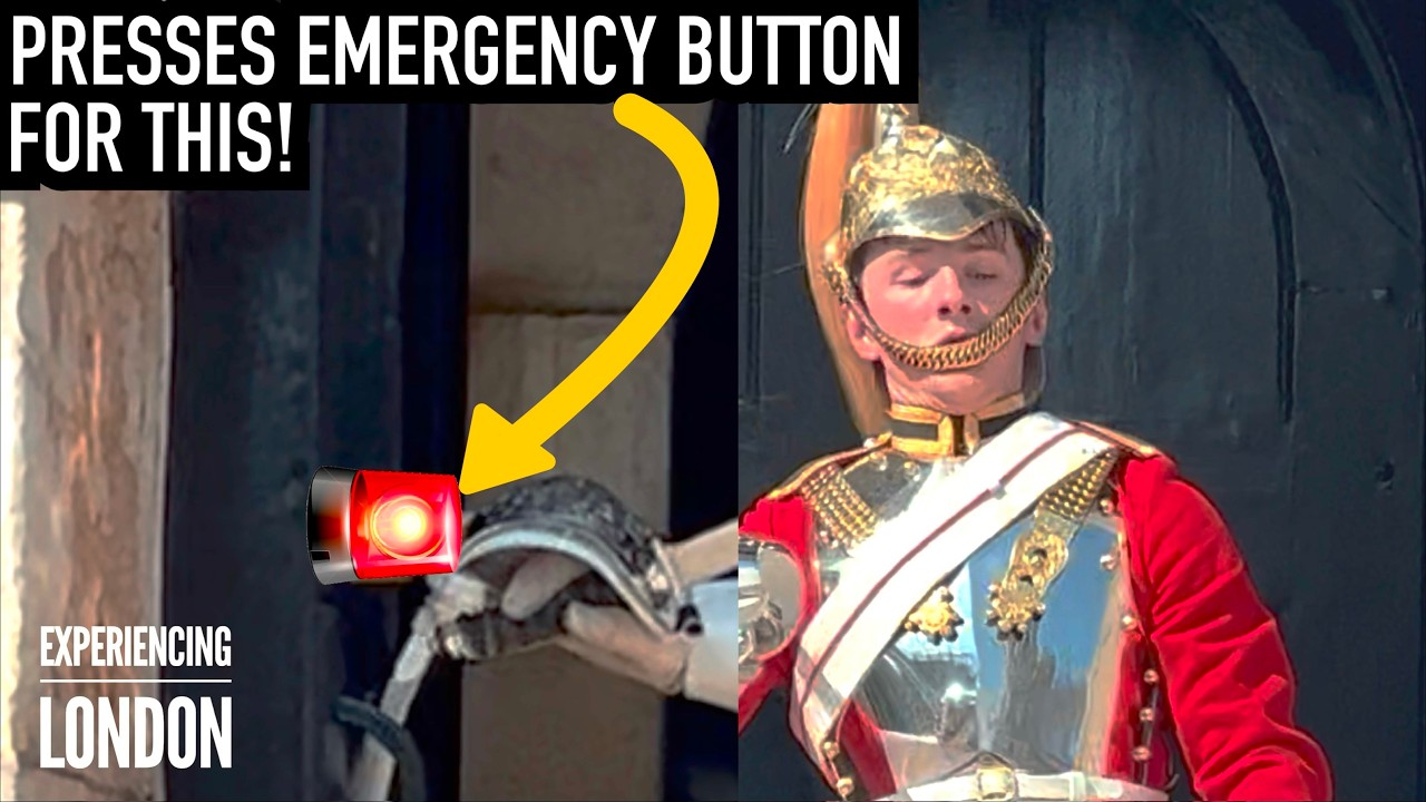 KING’S GUARD PRESSES EMERGENCY BUZZER FOR SERIOUS HELP! | Horse Guards, Kings guard, royal guard