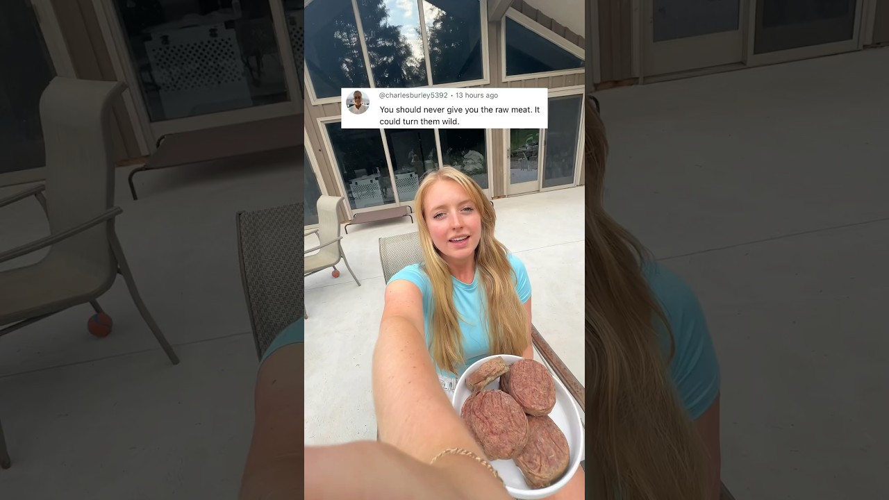 Как кормление моих собак сырой пищей превратило их в ДИКИХ 🐺🥩🤯😱 #кормдлясобаок #сырой #сыроедение