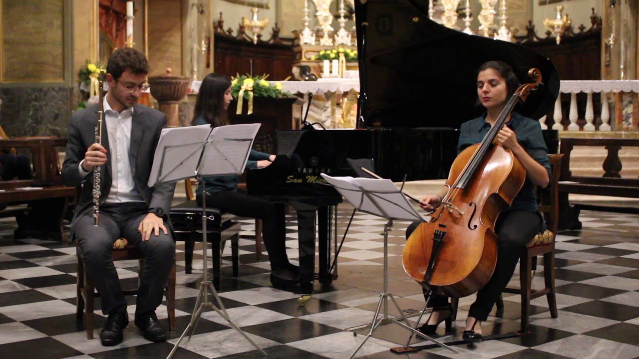 J. Haydn  - Trio N.28 in D Major for Flute, Cello and Piano (Trio Ilios)