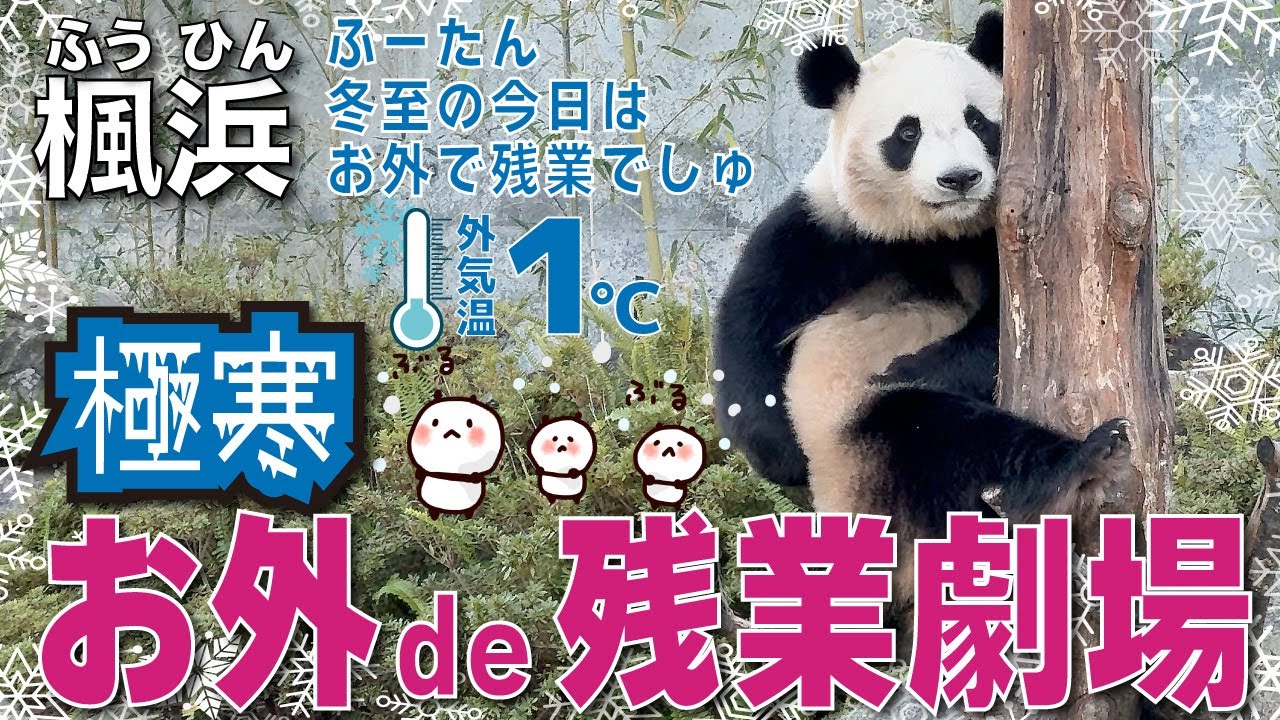 【楓浜（ふうひん）】極寒🥶のお外で残業もノリツッコミで笑いをとる🤣最も昼が短い日の最も長い1日