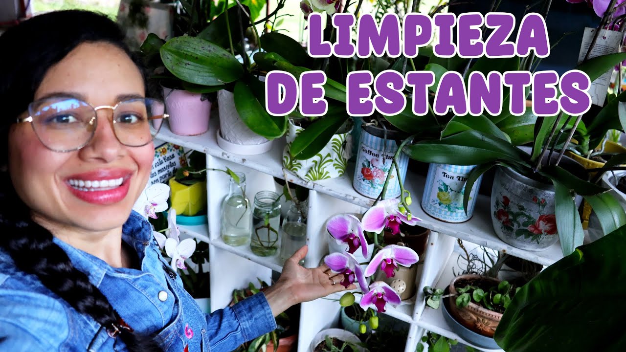 Limpiando el tradicional mueble blanco de mis plantas |Candy Bu