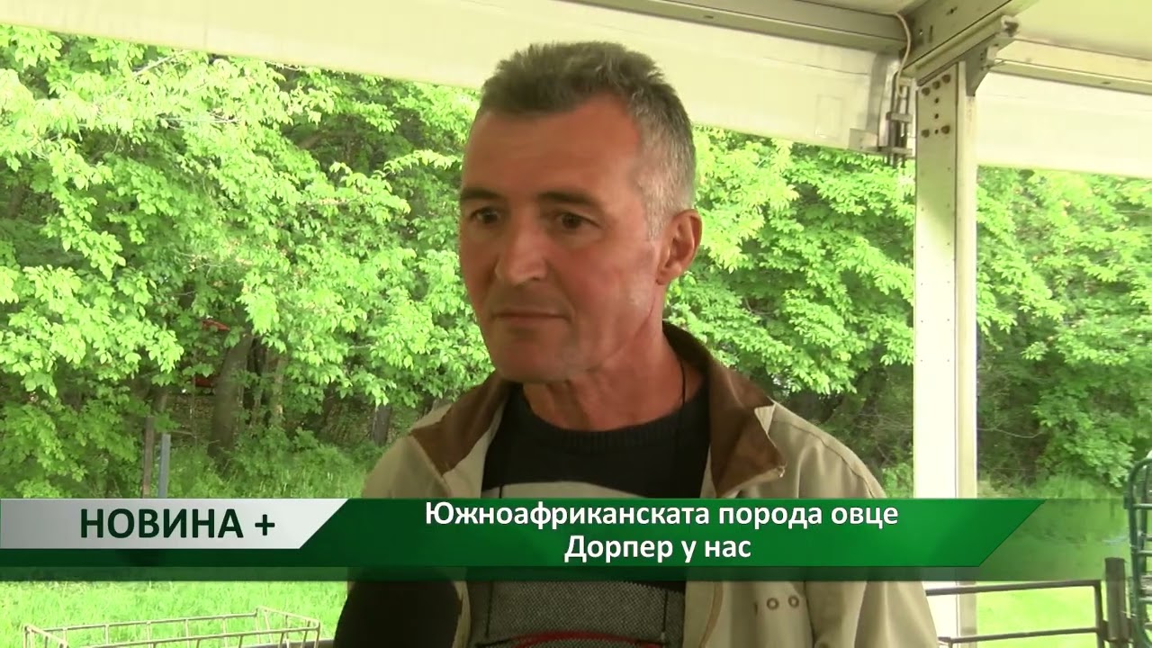 Новина плюс: Южноафриканската порода овце Дорпер у нас, автори: М. Спасова, Г. Куситасев