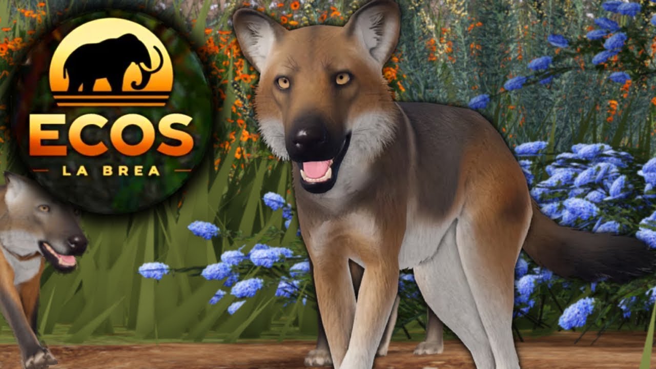FIRST TIME playing DIRE WOLF in Ecos: La Brea! 👀