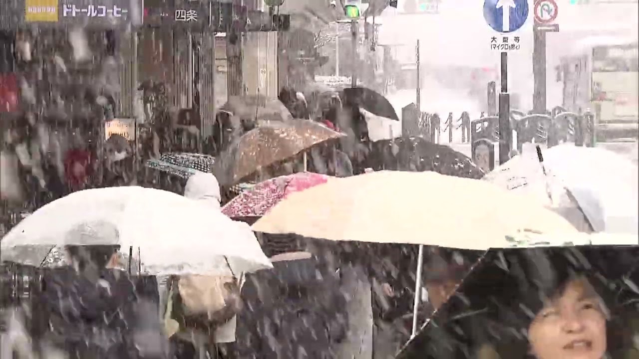 【今季初積雪】京都市内は雪化粧に包まれる　南丹市では「顕著な大雪に関する気象情報」も発表　今後も要警戒（2026年2月8日）