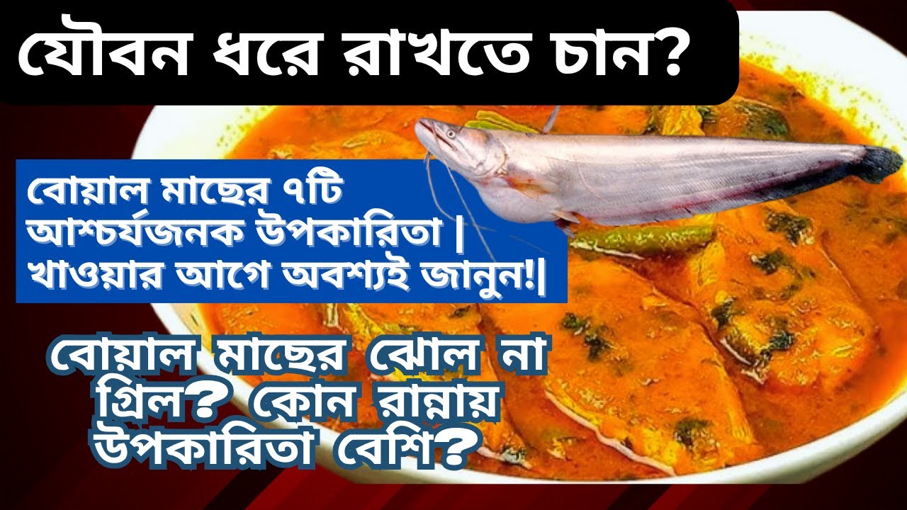 যৌবন ধরে রাখতে চান ? বোয়াল মাছের ৭টি আশ্চর্যজনক উপকারিতা || খাওয়ার আগে অবশ্যই জানুন!