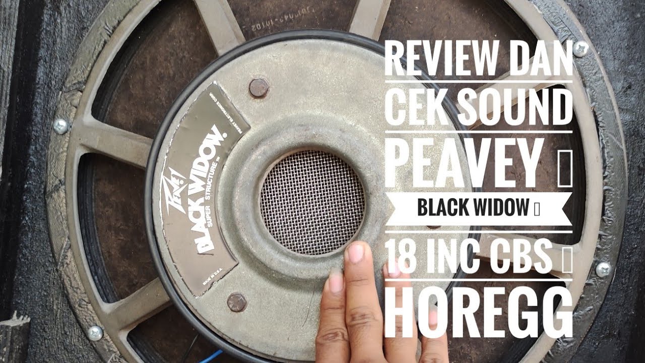 review dan cek sound black widow 18 inch peavey ( box cbs )