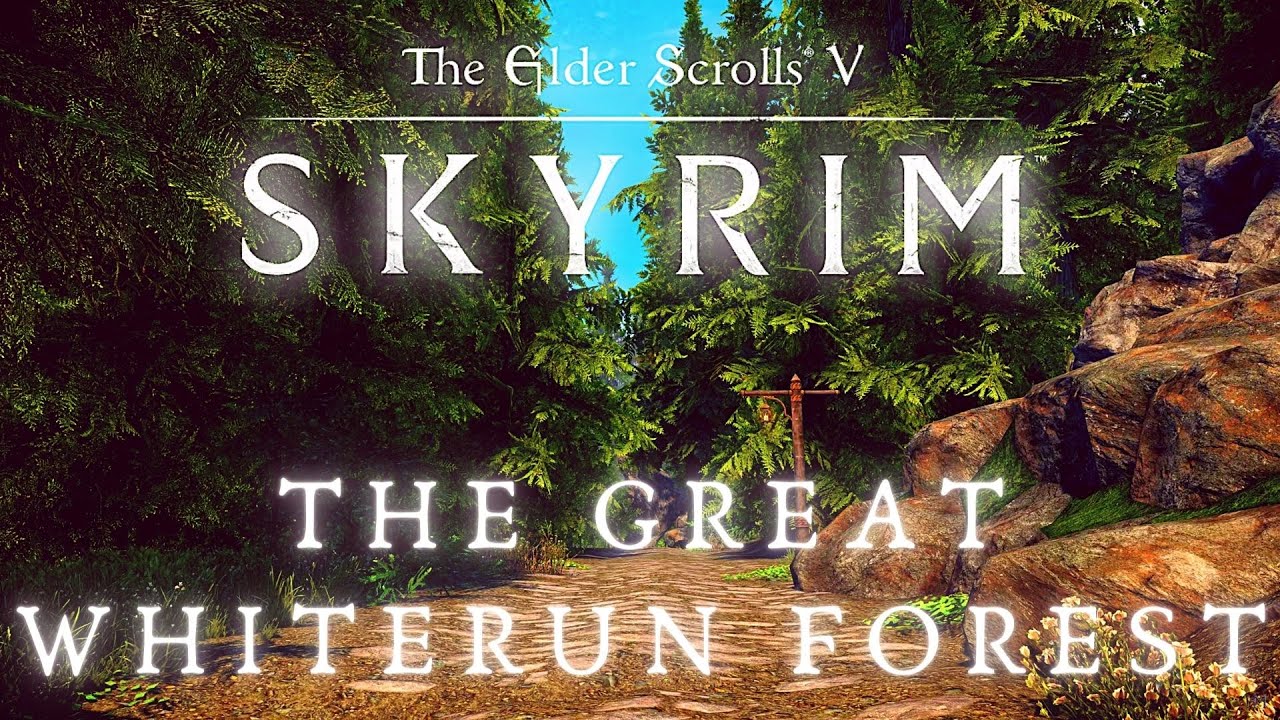 The Great Whiterun Forest - Walking Across All of Skyrim p.4 | Skyrim 4K Music & Ambience