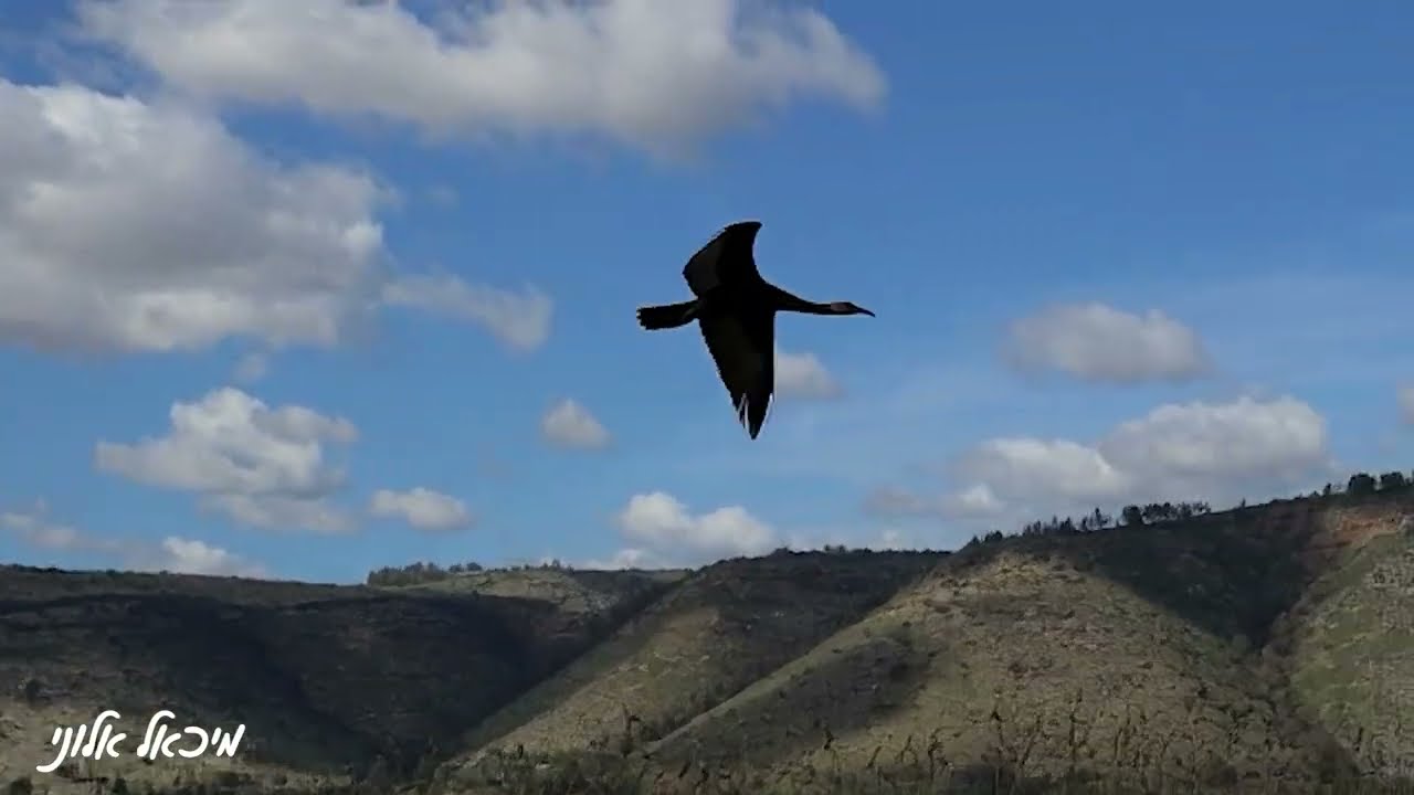רשמי טיול באגמון החולה והסביבה