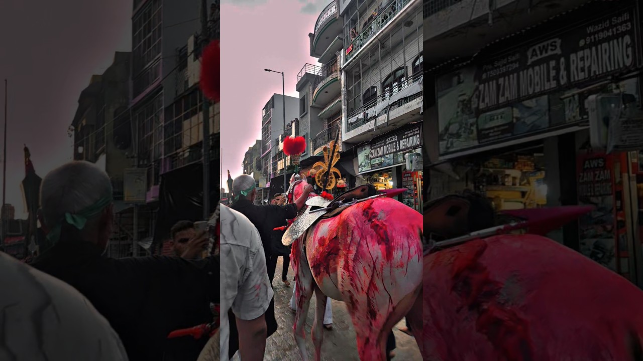 Zuljanah Jnab e Ali Akbar #zuljanah #aliakbar #muharram2025 #shorts