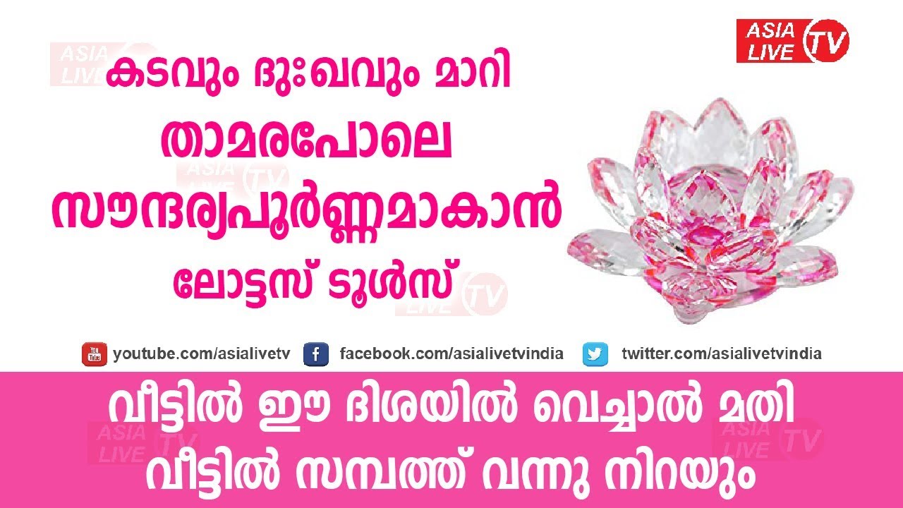 കടവും ദുഖവും മാറാൻ സമ്പത്ത് വന്നു നിറയാൻ ലോട്ടസ് ടൂൾസ്| 9745094905 | Feng Shui malayalam
