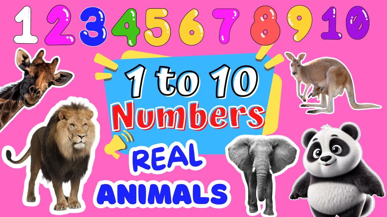 Numbers from 1 to 10 -Learning to Count the numbers with Animals | Real Animal Counting for Toddlers