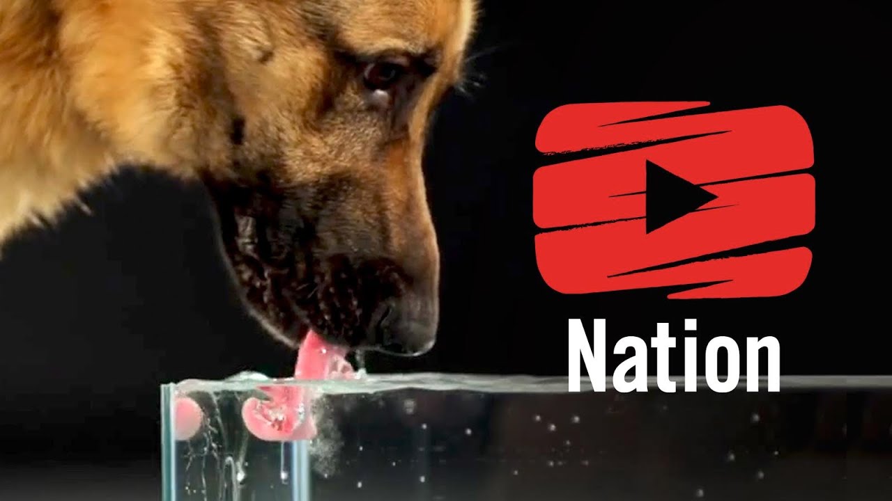 Life's Mysteries Revealed With Super Slow Motion!