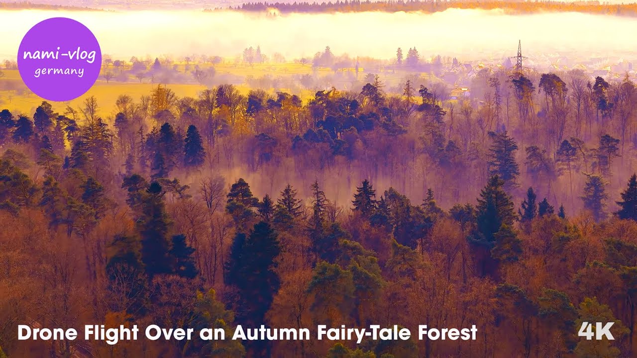 🚀 Drone Flight Over an Autumn Fairy-Tale Forest &ndash; Clouds, Mist & Magical Light | DJI Air 3