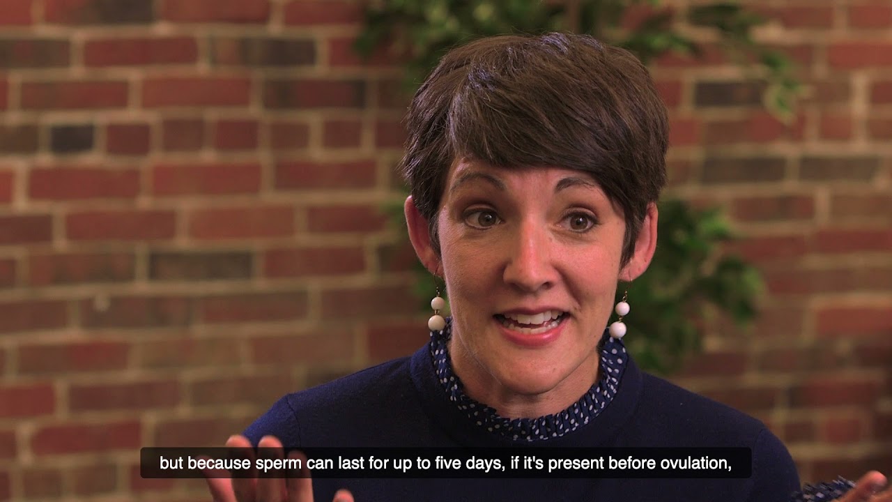 Menstrual cycle basics