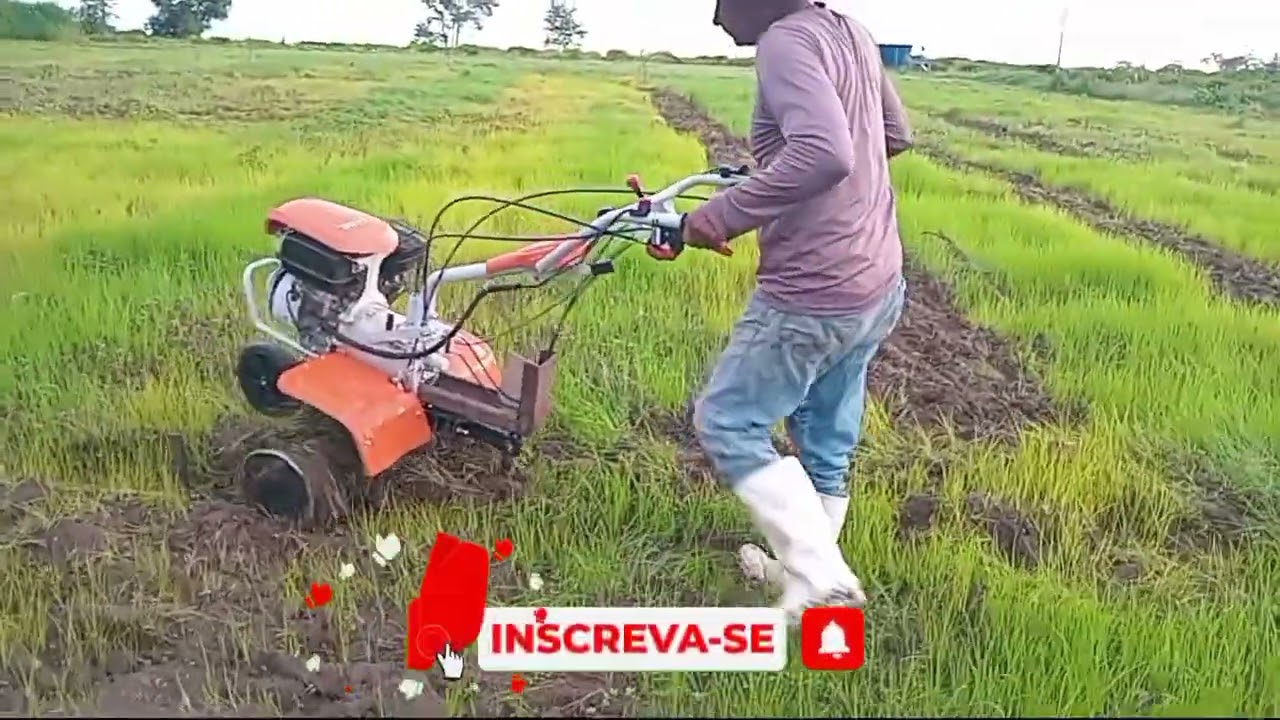 🚜 Jonas arando a terra para plantar café ☕🌱