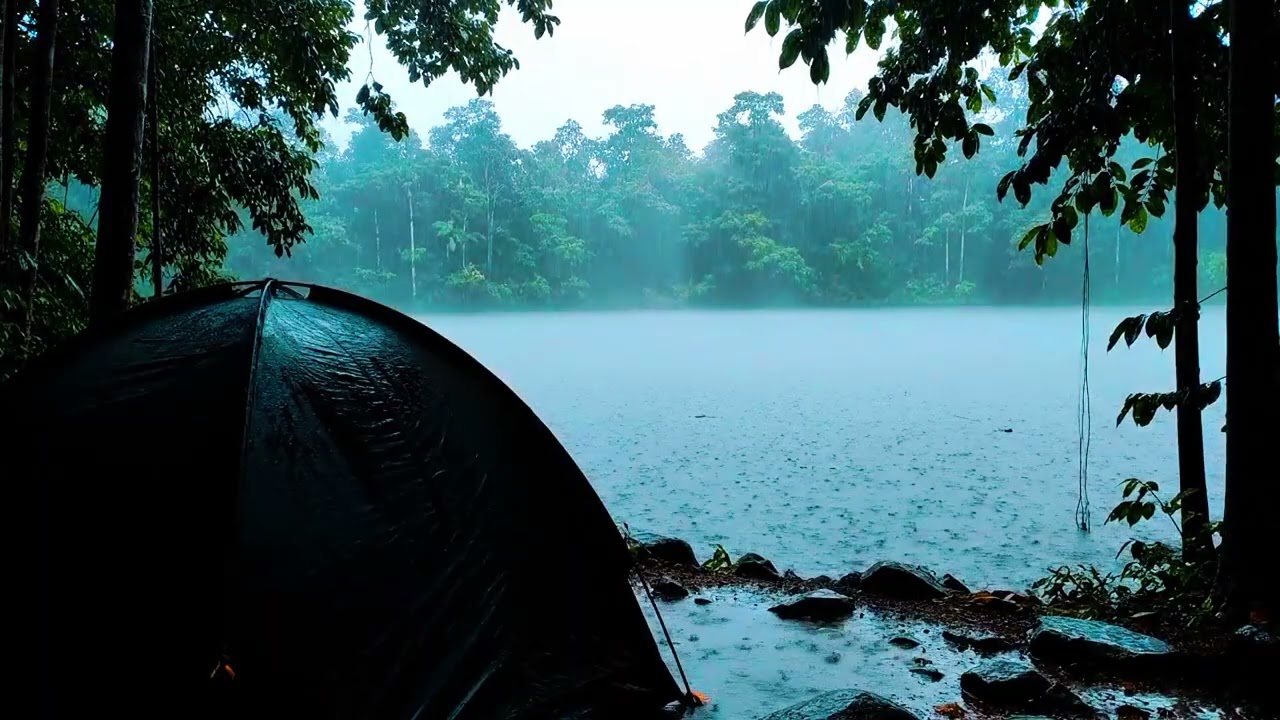 Heavy Rain Camping at Night 🌧️ Cozy Forest Tent Sounds for Deep Sleep