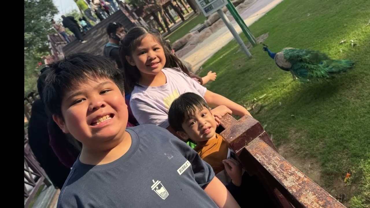 Christmas 2025 at Al Khor Park and Zoo