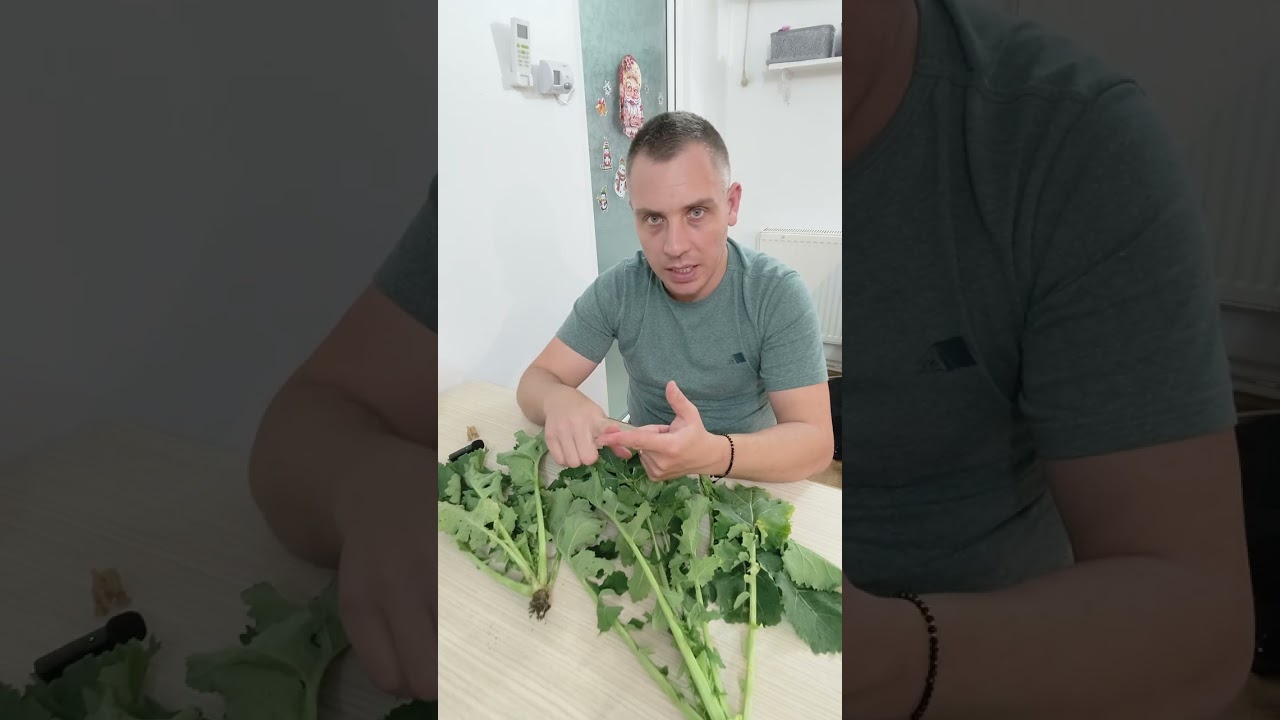PHOMA LA RAPIȚĂ &icirc;n decembrie