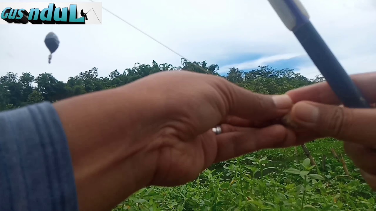 tips rangkaian wader dasaran hasilnya mantap#gus ndul