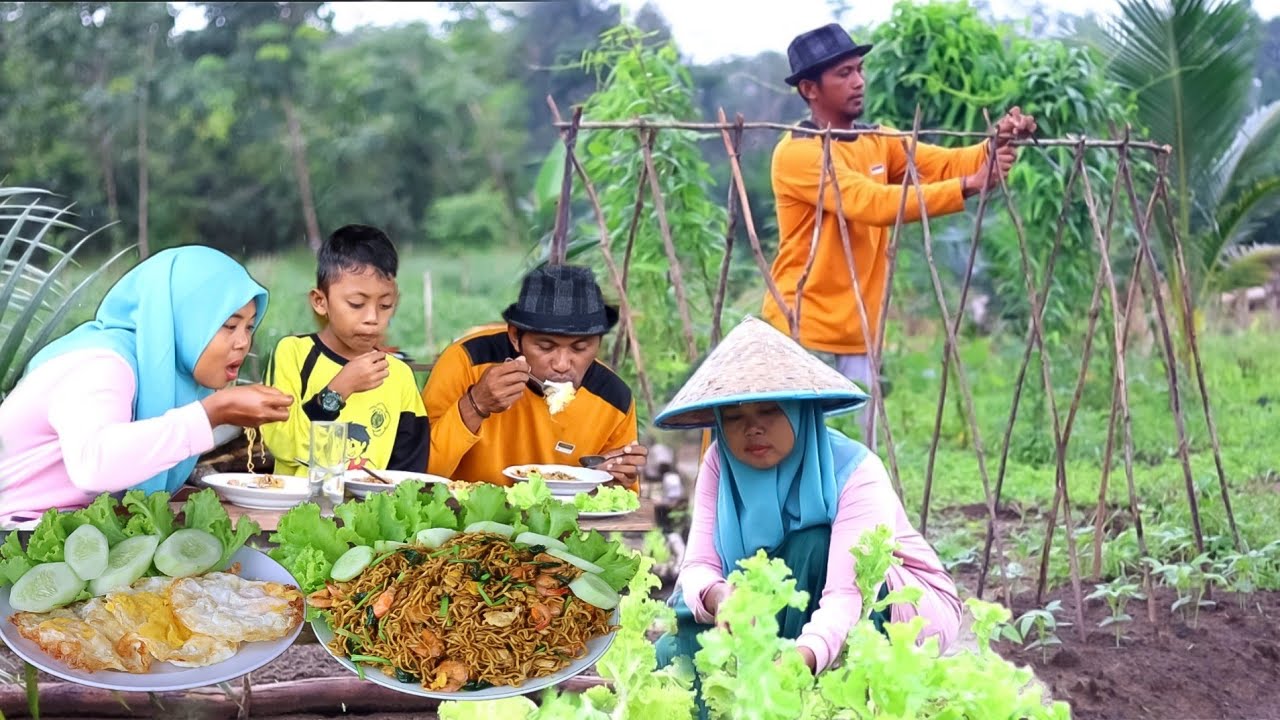 Panen PAGODA & SELADA,Membuat mie goreng udang telur Spesial yang enak,Rutinitas hidup di desa 
