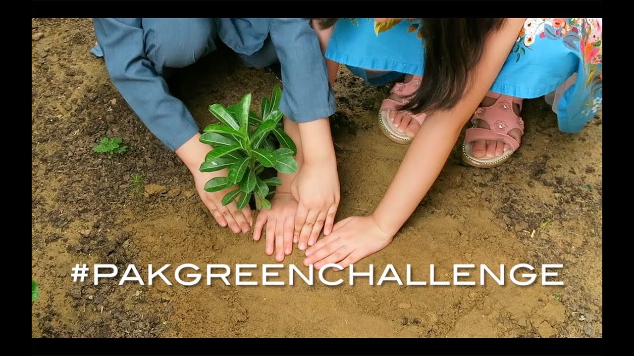 #PakGreenChallenge The Independence Day Challenge