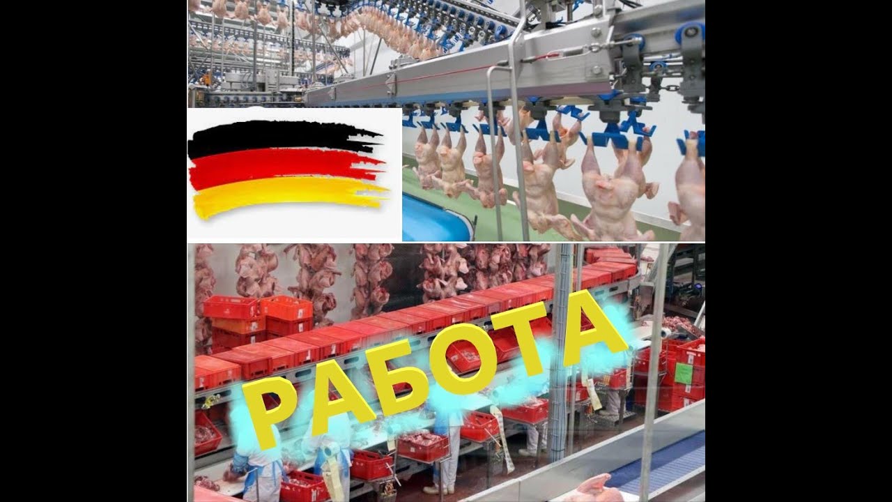 Работа във ФАБРИКА за месо в Германия