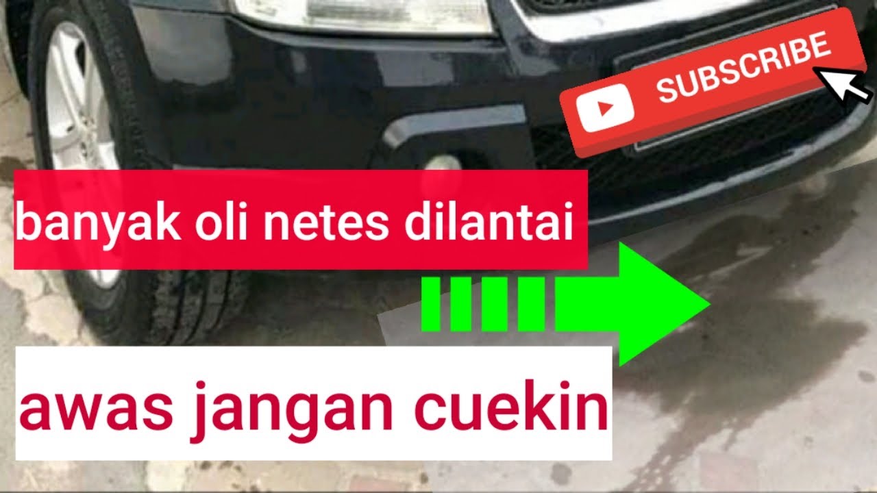 waspada oli netes dibawah mesin mobil