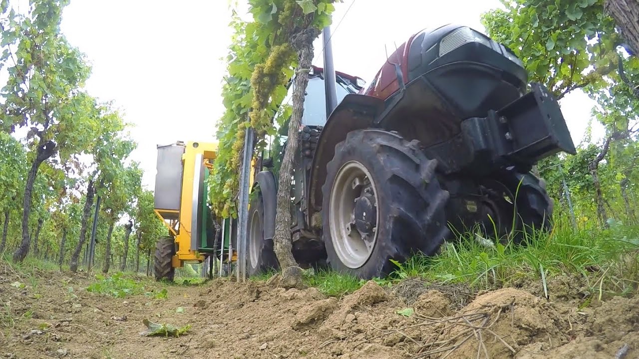 Weinlese 2016 (Spezial) mit Case Quantum 95V und Gregoire G60