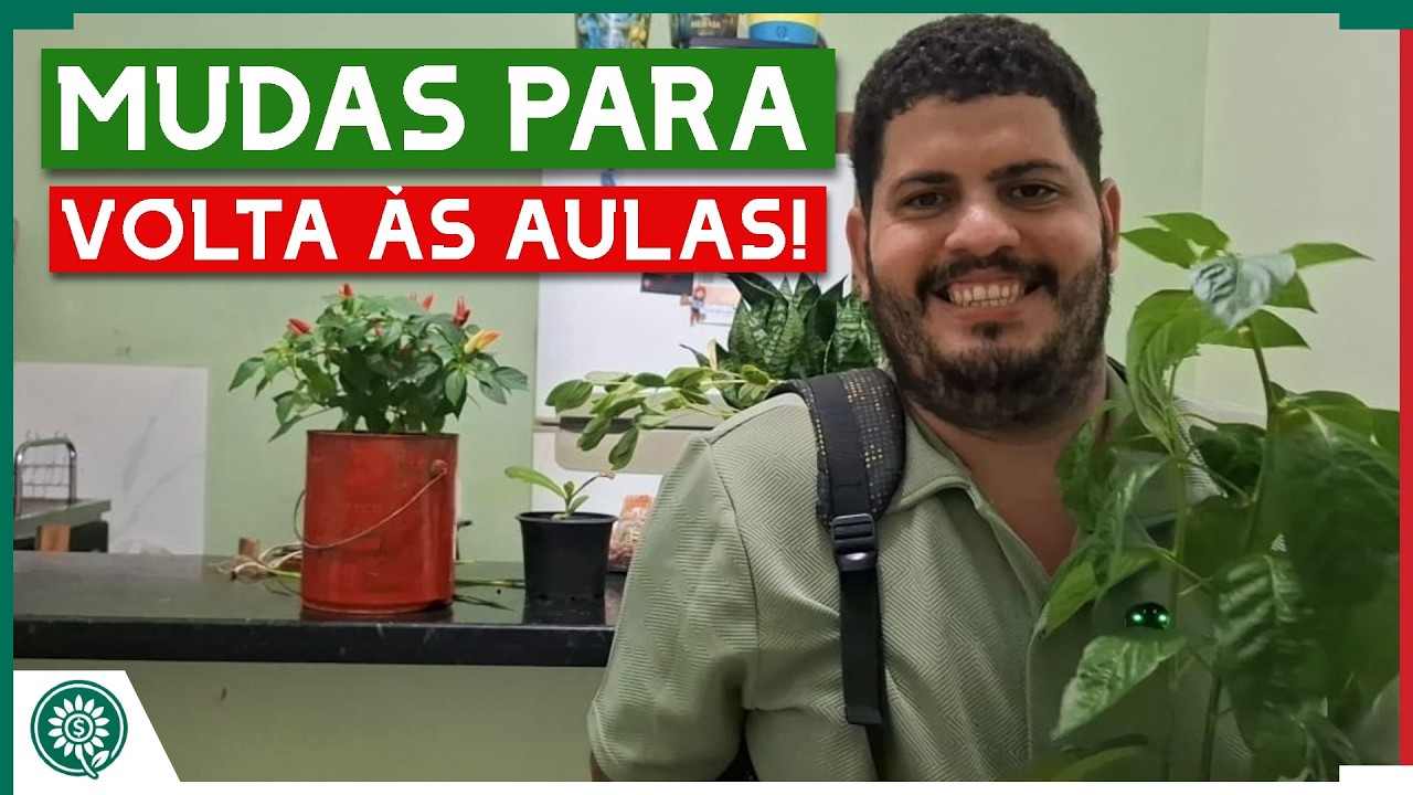 Nunca mais fique sem mudas pro seu filho levar PRA ESCOLA quando a professora pedir. Método simples.