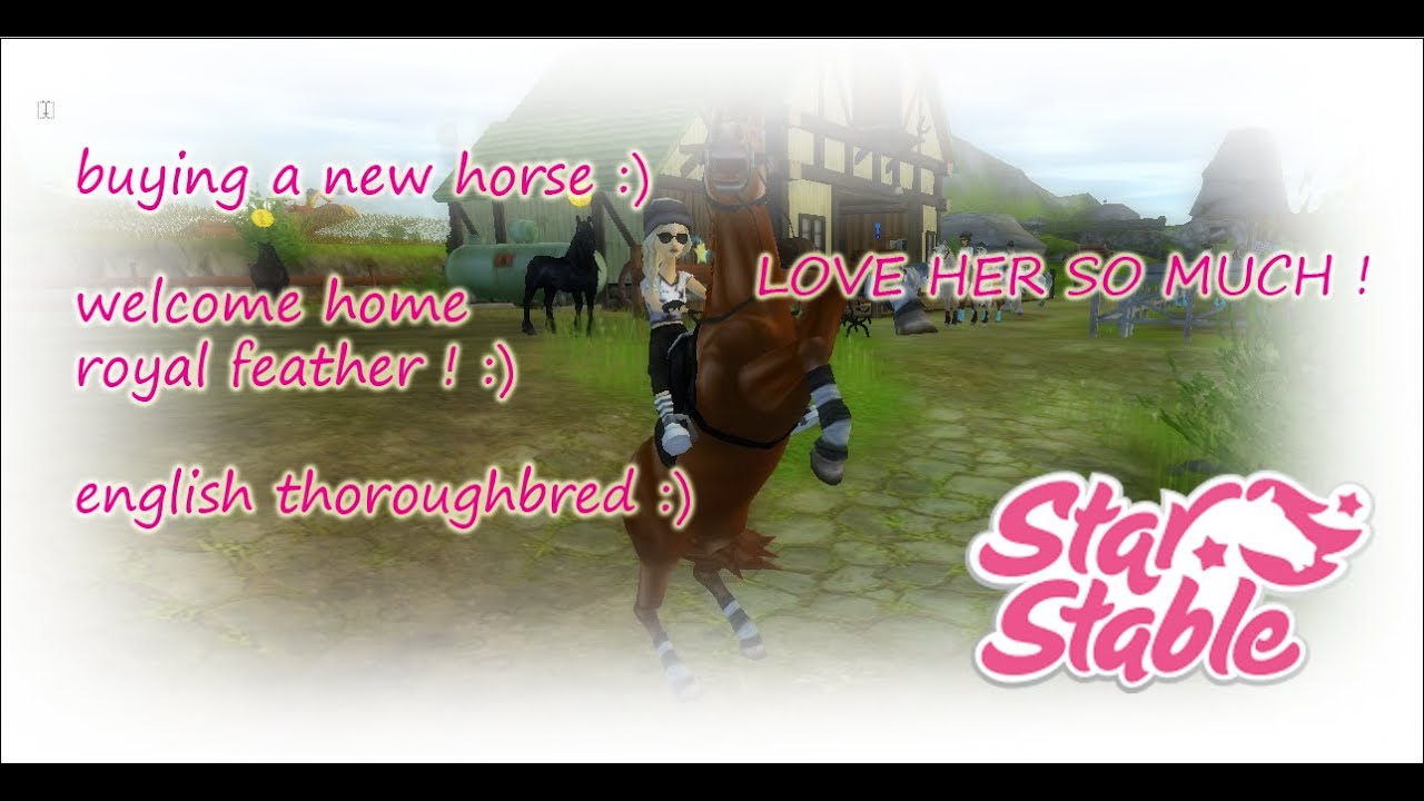 STAR STABLE -  lets buy a new horse!