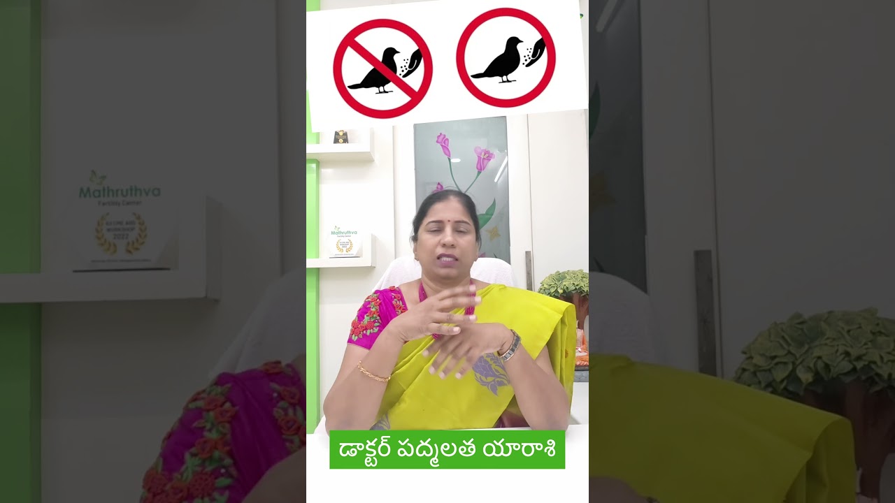 🕊️ &ldquo;Can pigeons kill humans? 😳 The answer might surprise you!&rdquo; #pregnancybyfaith #pigeon