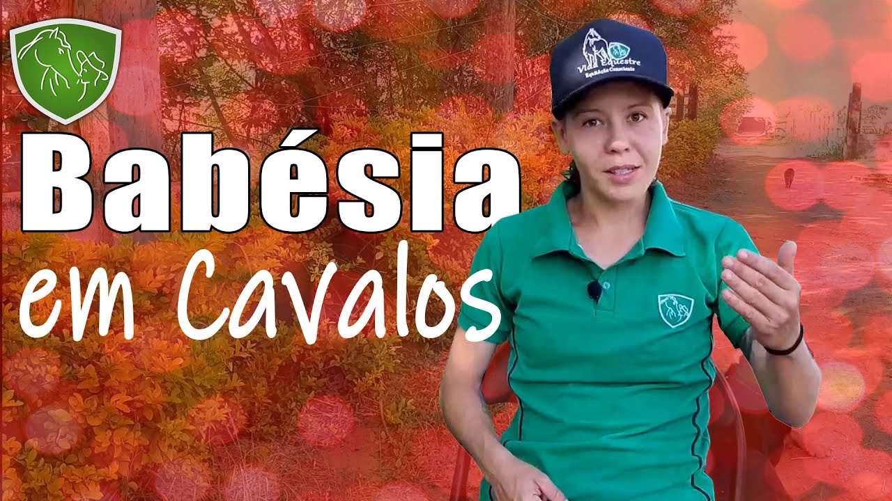 Babésia em cavalos - Doença MUITO comum que você PRECISA ficar de olho