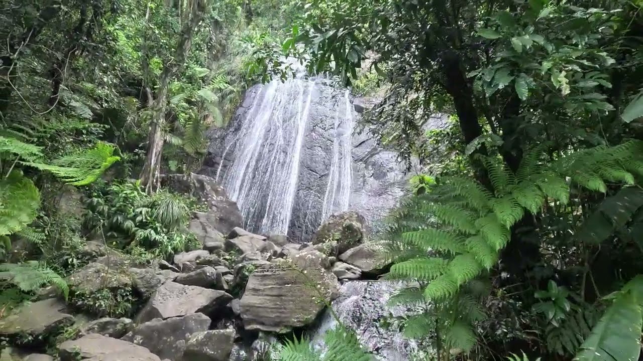 Lugares para visitar en El Yunque, Puerto Rico.
