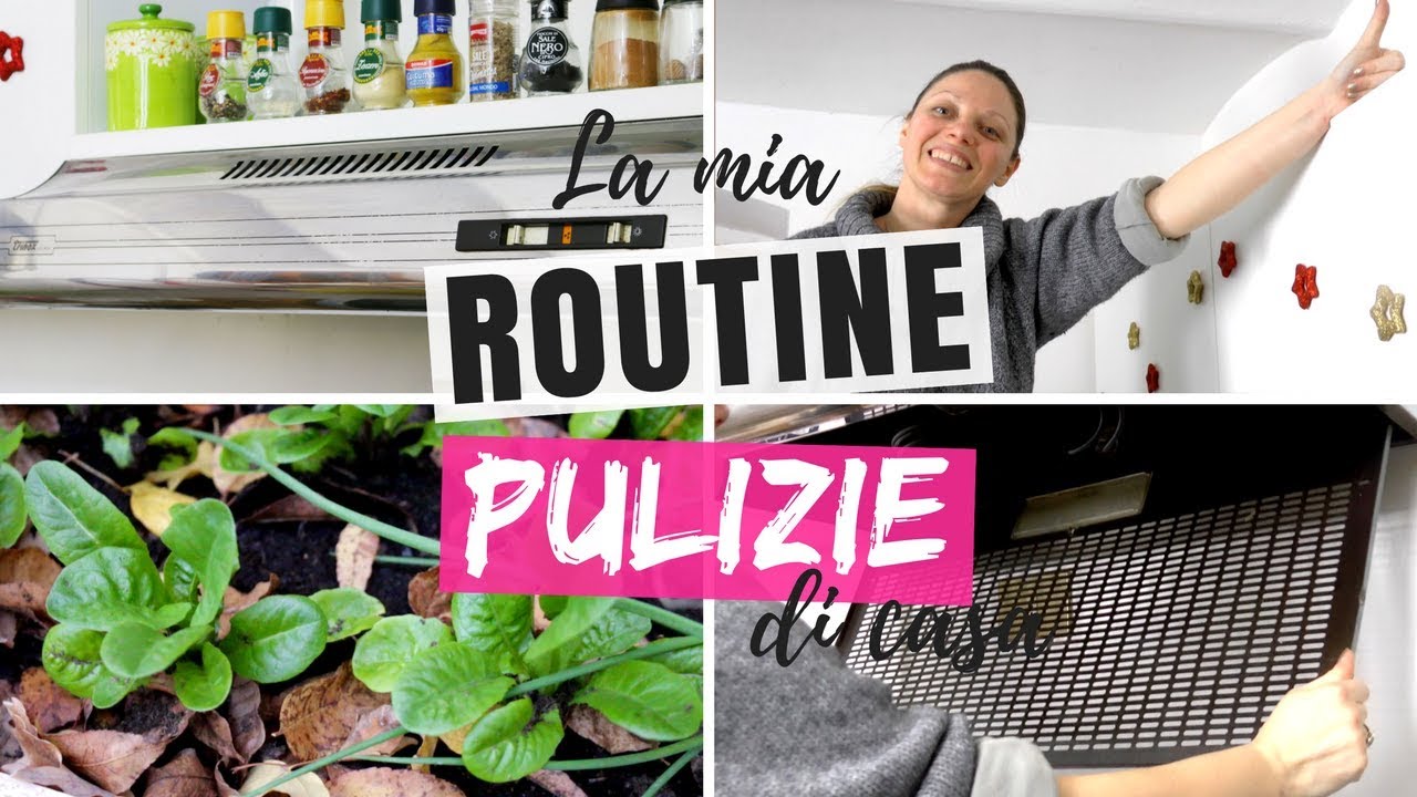 COME PULIRE LA CASA: LA MIA ROUTINE SETTIMANALE PULIZIE (COME PULIRE LA CAPPA, I PENSILI, ORTO...)