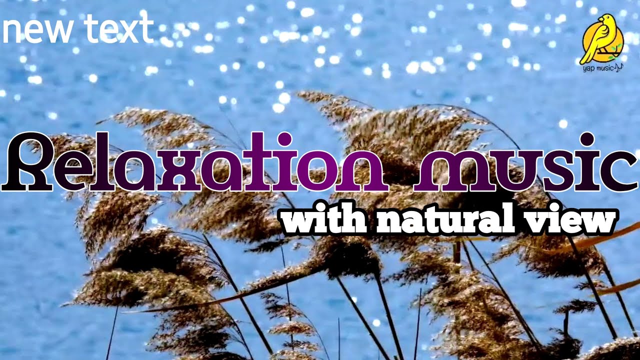 |relaxation music||meditation music with natural view|...|yapmusic|