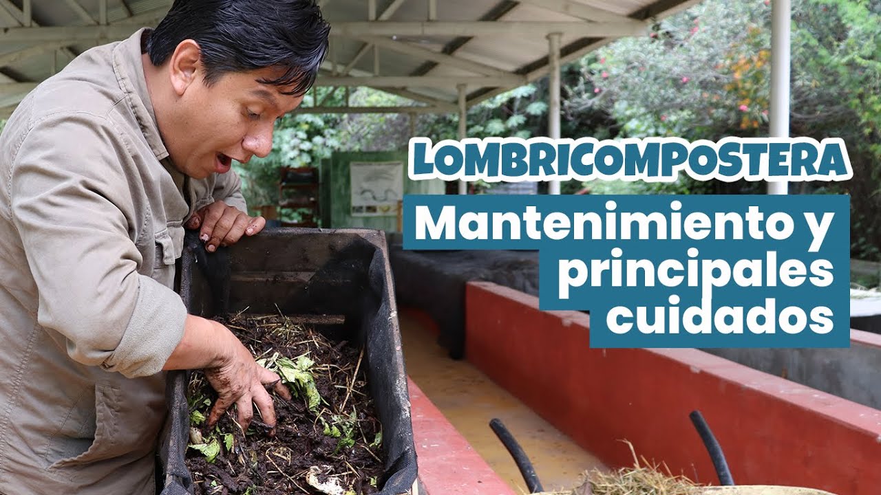 #Lombricompostera | Principales dudas y consejos básicos de mantenimiento