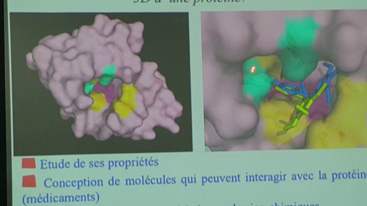 Dr Khemili-Talbi Souad protéomique-Conférence-1er séminaire de Bioinformatique et génomique2017 USDB