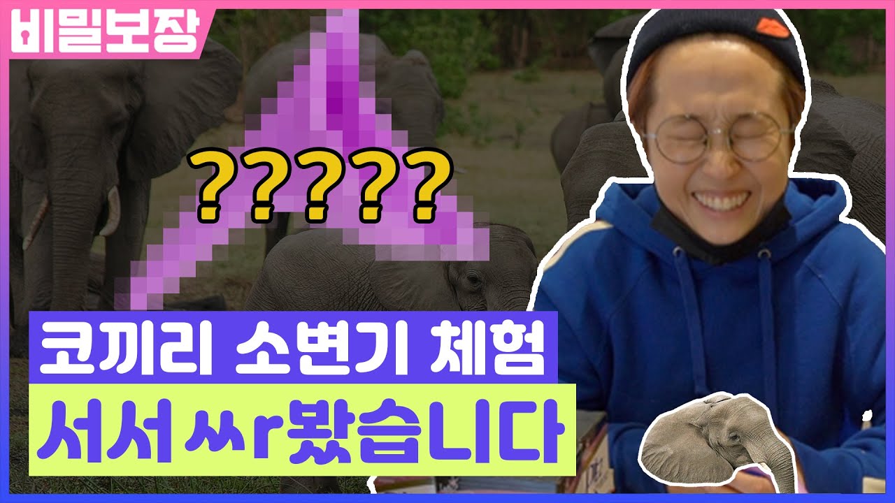 여성용 코끼리 소변기🐘  서서 볼일보다 현타 제대로 와버림..★| 송은이 김숙 비밀보장