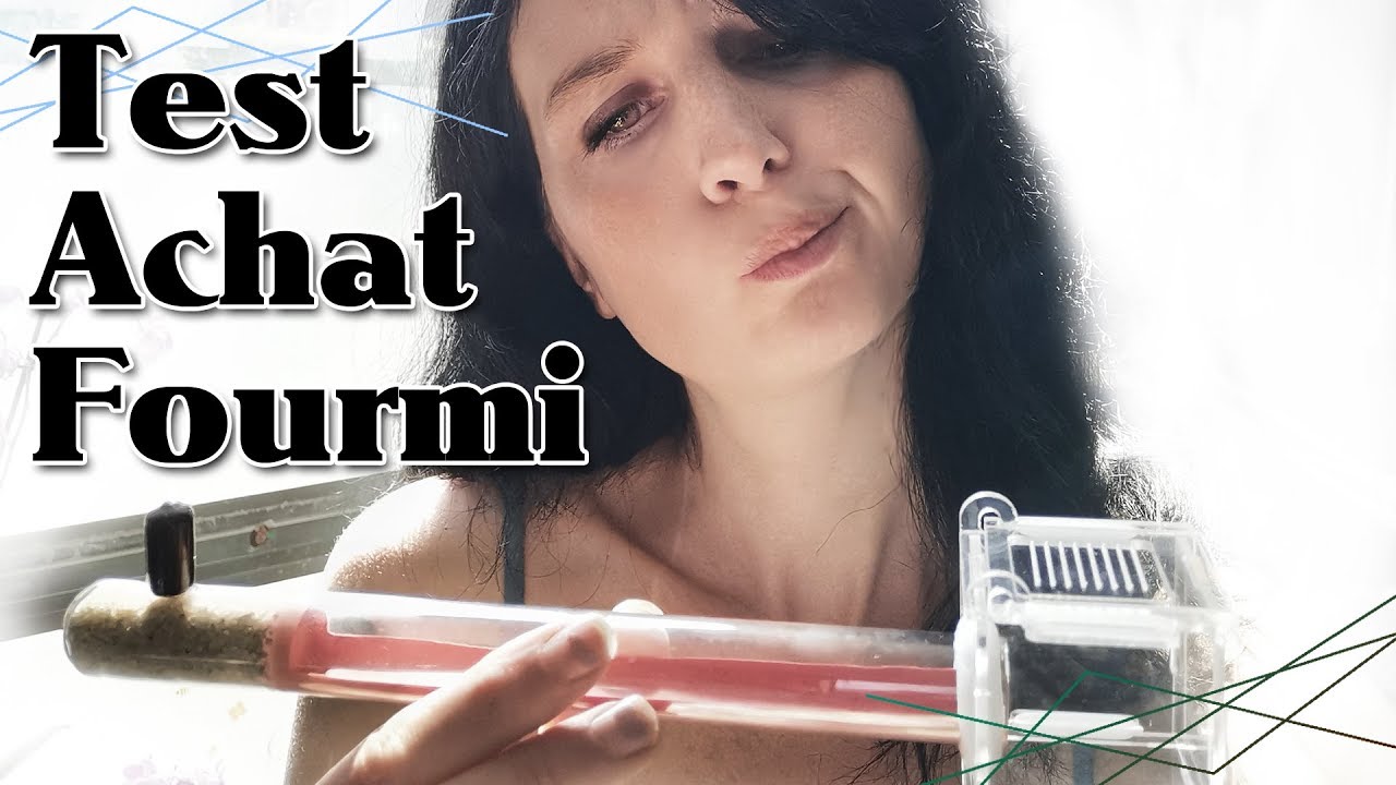 TEST d'un ACHAT FOURMI à PETIT PRIX !
