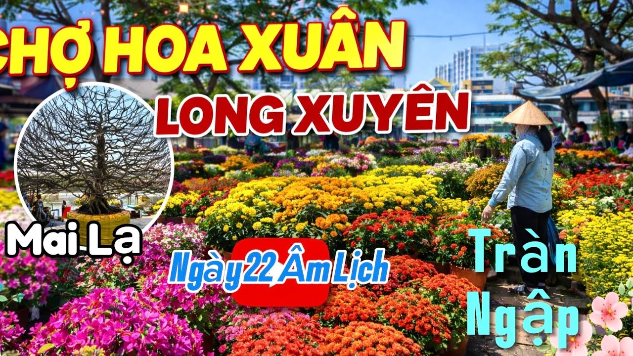 Biển Hoa Ngày Tết Tại Chợ Hoa Xuân Long Xuyên | Dạo Chợ Hoa Xuân Long Xuyên Ngày 22 Âm Lịch