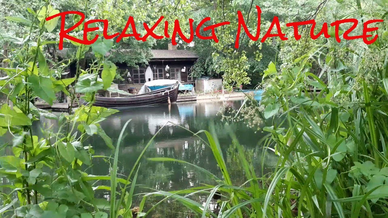Relaxing Nature Sounds: Calm river and soothing birdsong ❤️🙏