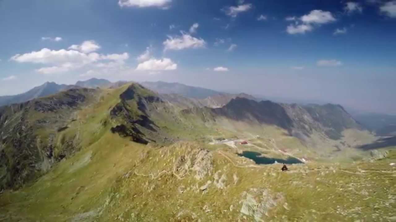 Wildlife Romania