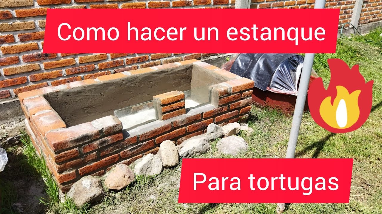 Cómo hacer un estanque para tortugas 🐢🙂🌵