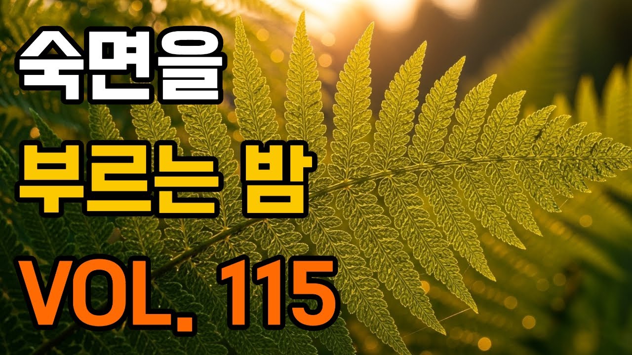 숙면을 부르는 밤 VOL. 115