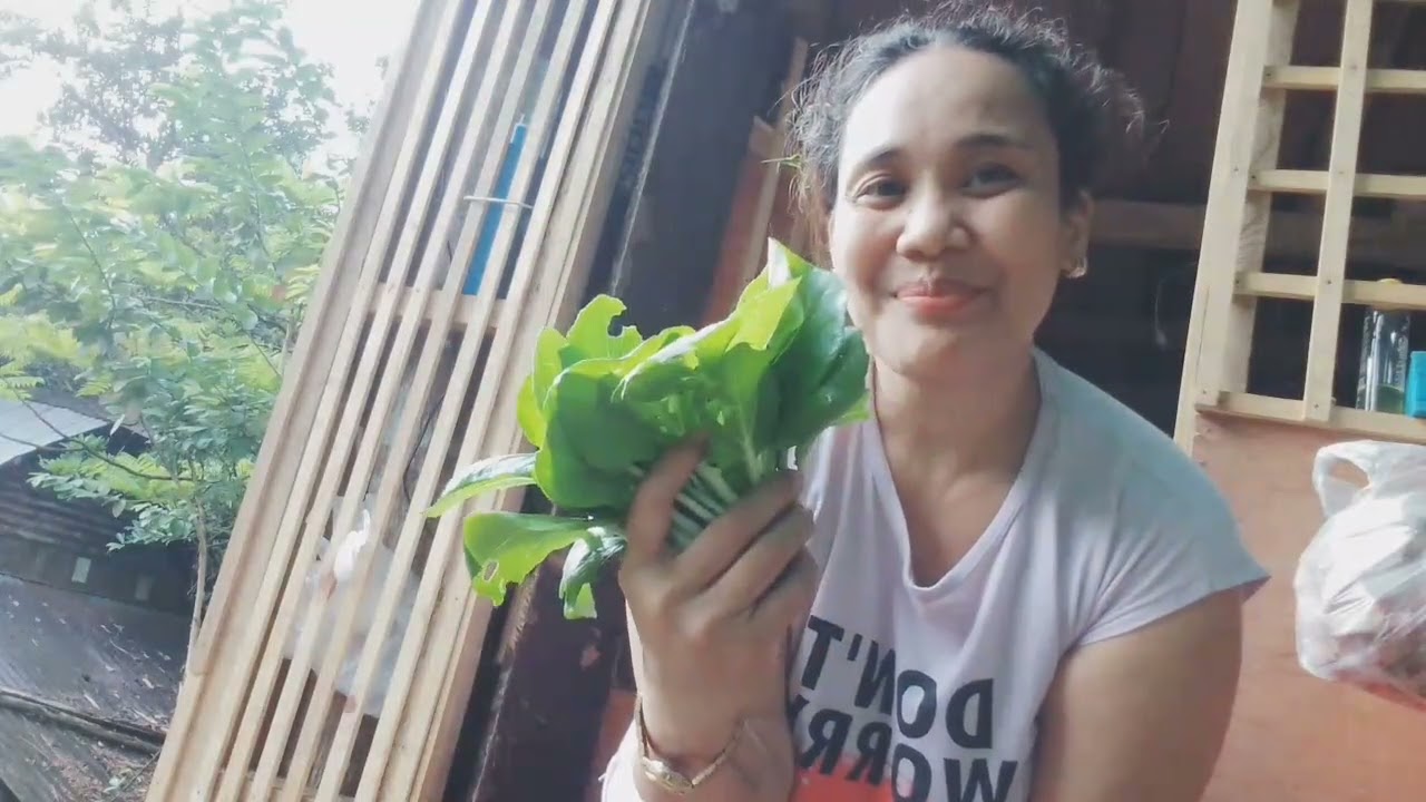 Harvest Ng kunting petchay 🙏🙏🙏