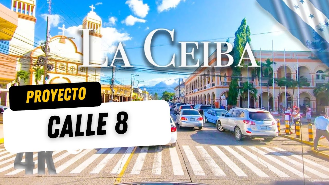 Avance Proyecto calle 8
