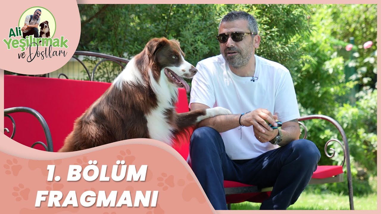 Ali Yeşilırmak ve Dostları Birinci Bölüm Fragmanı