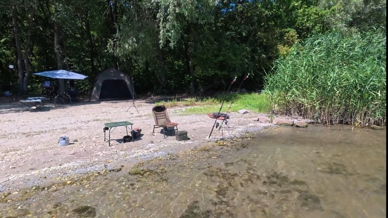 РЫБАЛКА НА ПЕЧЕНЕГАХ ! НОЧЕВКА В ЧЕРНОМ ЛЕСУ ! УХА ИЗ ЛЕЩА ! ПОДЛЕЩИК НА ПРУЖИНУ ! АВГУСТ 2025 ! 